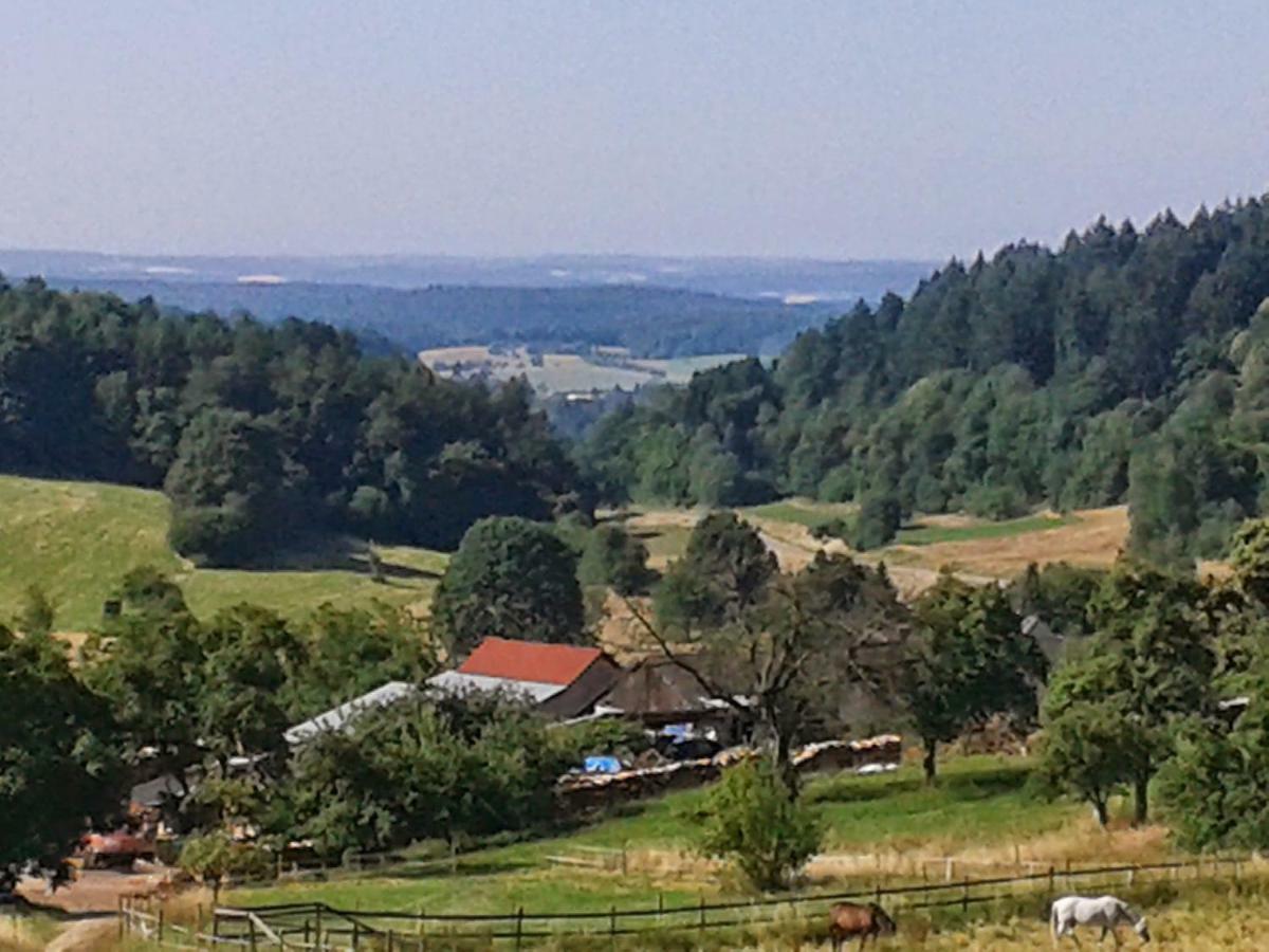 Fewo Darsberg Neckarsteinach Exterior photo